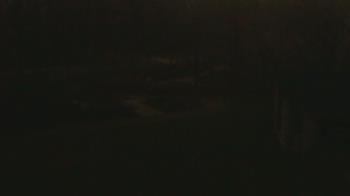 Weather camera view of Wildwood Park.