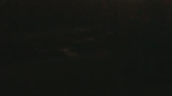 Weather camera view of Wildwood Park.