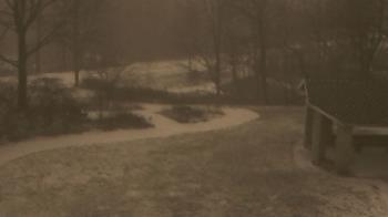 Weather camera view of Wildwood Park.