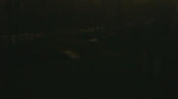 Weather camera view of Wildwood Park.