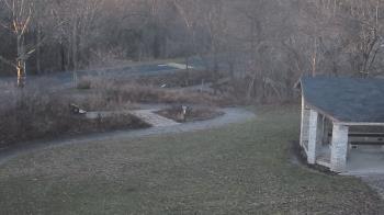 Weather camera view of Wildwood Park.