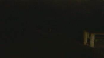 Weather camera view of Wildwood Park.