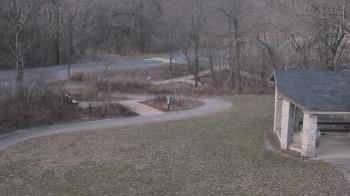 Weather camera view of Wildwood Park.