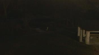 Weather camera view of Wildwood Park.