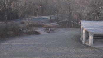 Weather camera view of Wildwood Park.
