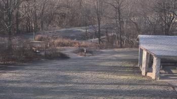 Weather camera view of Wildwood Park.