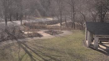 Weather camera view of Wildwood Park.