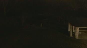 Weather camera view of Wildwood Park.