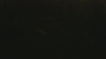 Weather camera view of Wildwood Park.