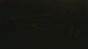 Weather camera view of Wildwood Park.