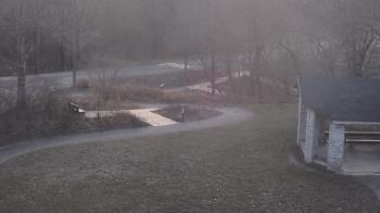 Weather camera view of Wildwood Park.