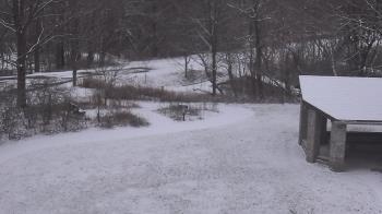 Weather camera view of Wildwood Park.