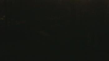 Weather camera view of Wildwood Park.