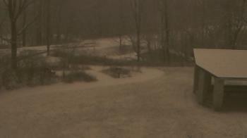 Weather camera view of Wildwood Park.