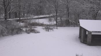 Weather camera view of Wildwood Park.