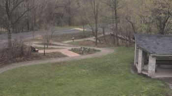 Weather camera view of Wildwood Park.