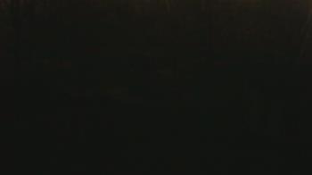 Weather camera view of Wildwood Park.