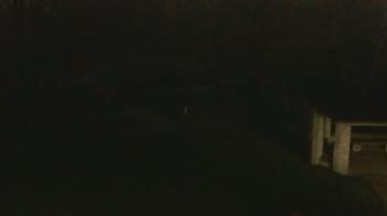 Weather camera view of Wildwood Park.