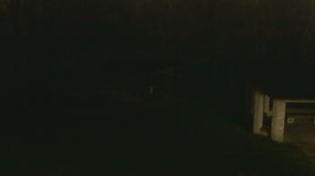 Weather camera view of Wildwood Park.