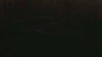 Weather camera view of Wildwood Park.