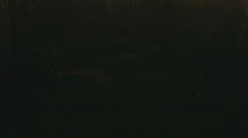 Weather camera view of Wildwood Park.