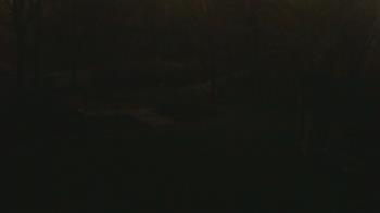 Weather camera view of Wildwood Park.