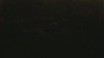 Weather camera view of Wildwood Park.