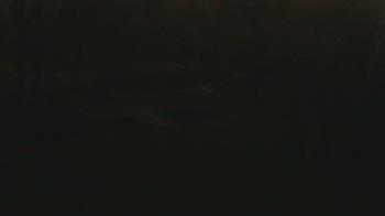 Weather camera view of Wildwood Park.