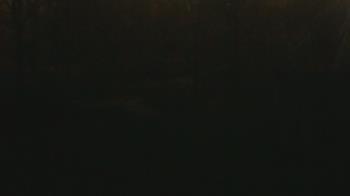 Weather camera view of Wildwood Park.