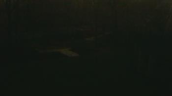 Weather camera view of Wildwood Park.