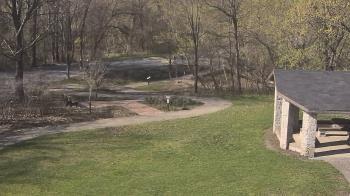 Weather camera view of Wildwood Park.
