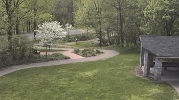 Weather camera view of Wildwood Park.