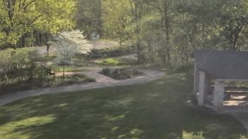 Weather camera view of Wildwood Park.