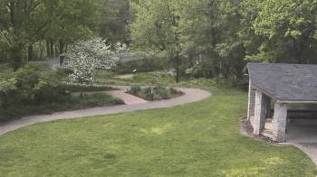 Weather camera view of Wildwood Park.