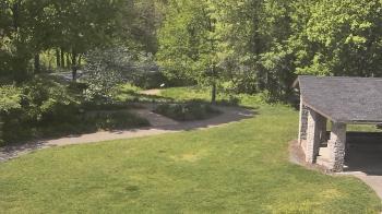 Weather camera view of Wildwood Park.