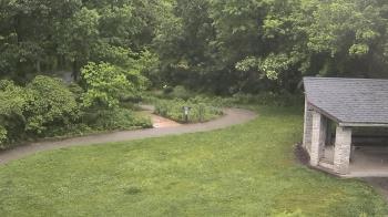 Weather camera view of Wildwood Park.