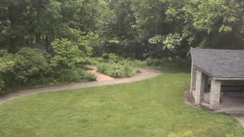 Weather camera view of Wildwood Park.