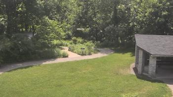 Weather camera view of Wildwood Park.