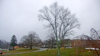 Weather camera view of Monroe Woodbury Computer Center.
