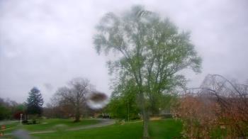 Weather camera view of Monroe Woodbury Computer Center.