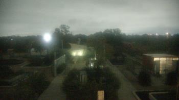 Weather camera view of Houston Botanic Garden.