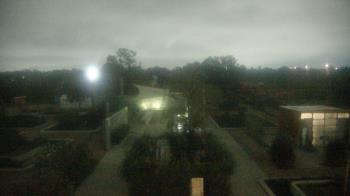 Weather camera view of Houston Botanic Garden.