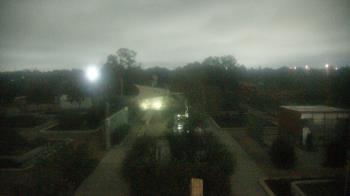 Weather camera view of Houston Botanic Garden.