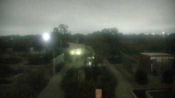 Weather camera view of Houston Botanic Garden.
