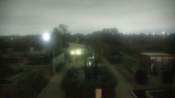 Weather camera view of Houston Botanic Garden.