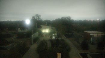 Weather camera view of Houston Botanic Garden.