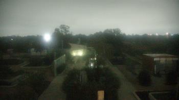 Weather camera view of Houston Botanic Garden.