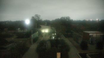 Weather camera view of Houston Botanic Garden.