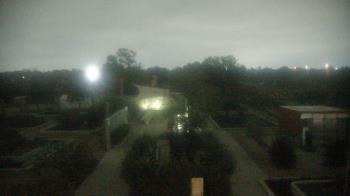 Weather camera view of Houston Botanic Garden.