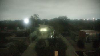 Weather camera view of Houston Botanic Garden.